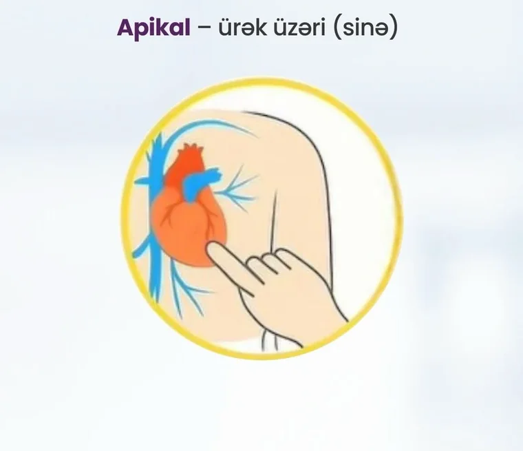 Apikal nəbz nöqtəsi — ürək üzəri (sinə)