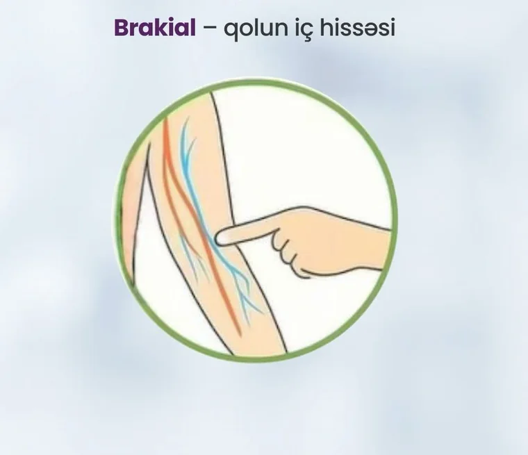 Brakial nəbz nöqtəsi — qolun iç hissəsi
