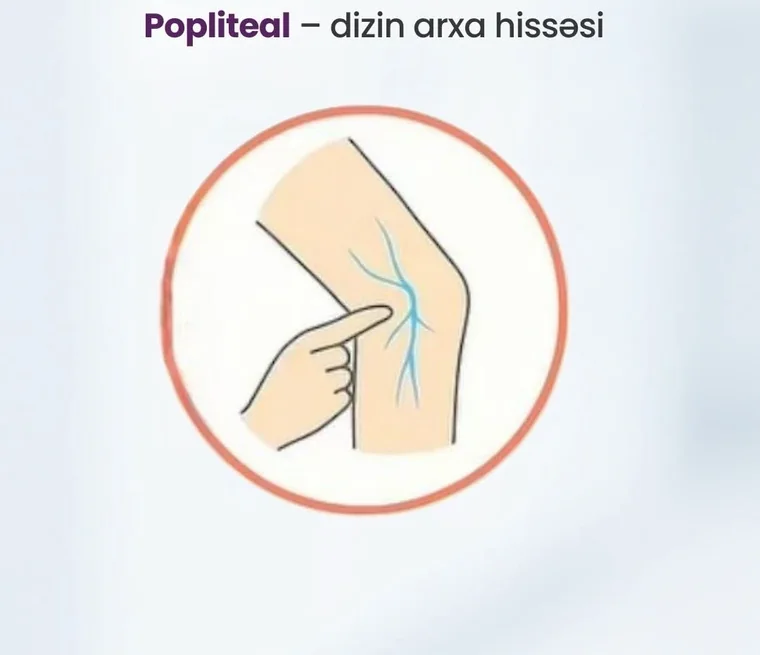 Popliteal nəbz nöqtəsi — dizin arxa hissəsi