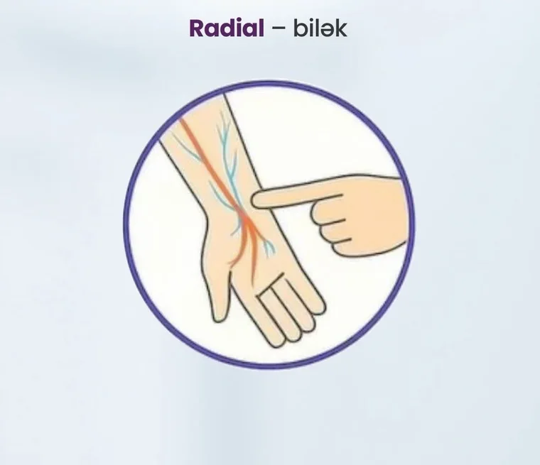 Radial nəbz nöqtəsi — bilək
