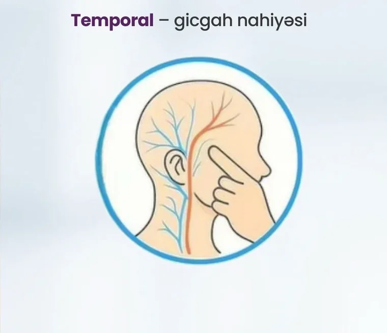 Temporal nəbz nöqtəsi — gicgah nahiyəsi